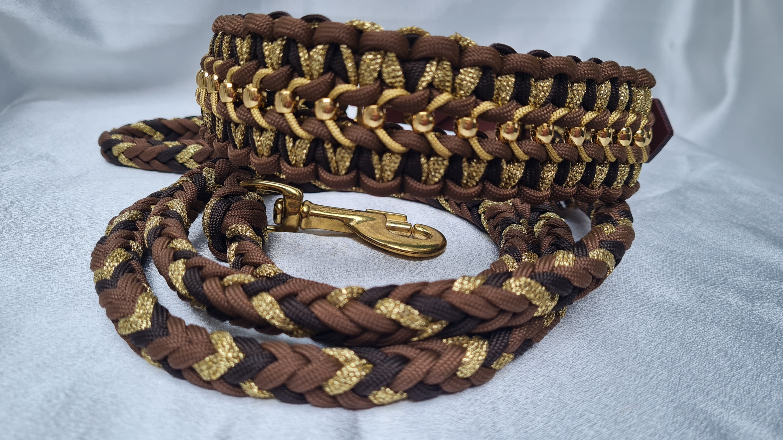 Collier pour chien – Modèle Paradis