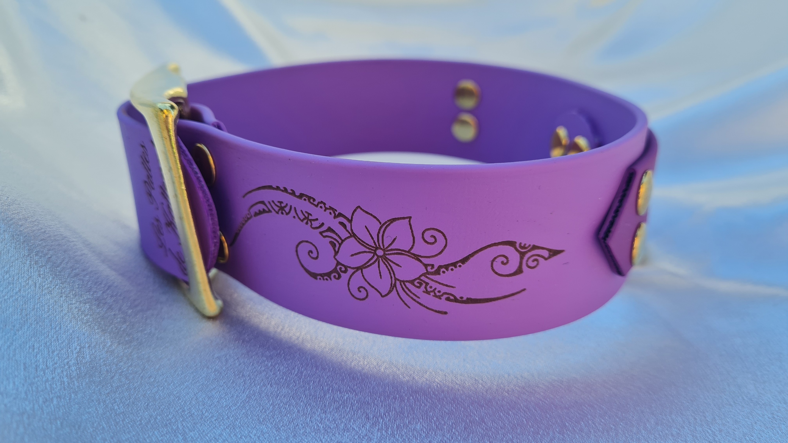 Collier Biothane 38 mm – Bande 25 mm Uni ou Imprimée – Attache Centrale – Image 3